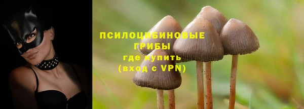 дурь Балахна